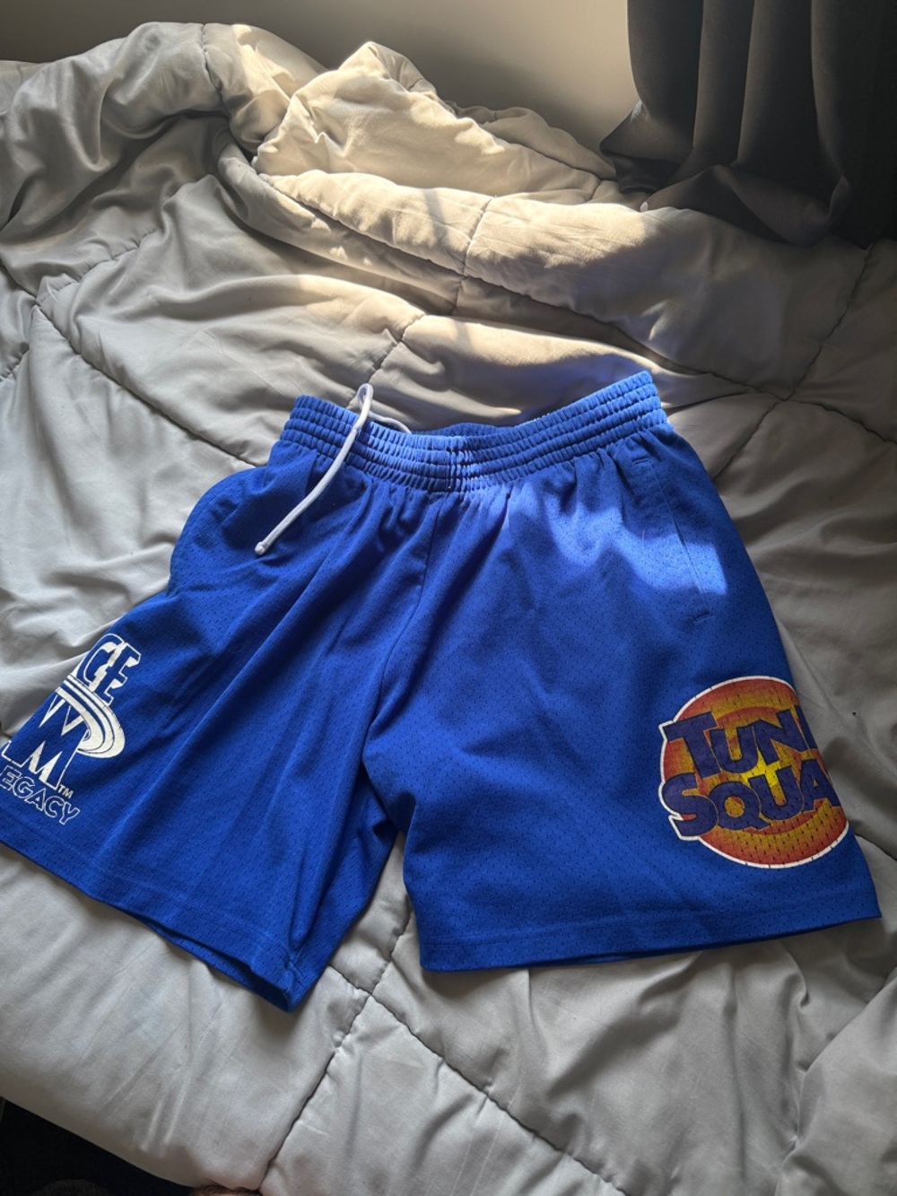 Mitchell & Ness Royal Blue Tune Squad Basketball Shorts